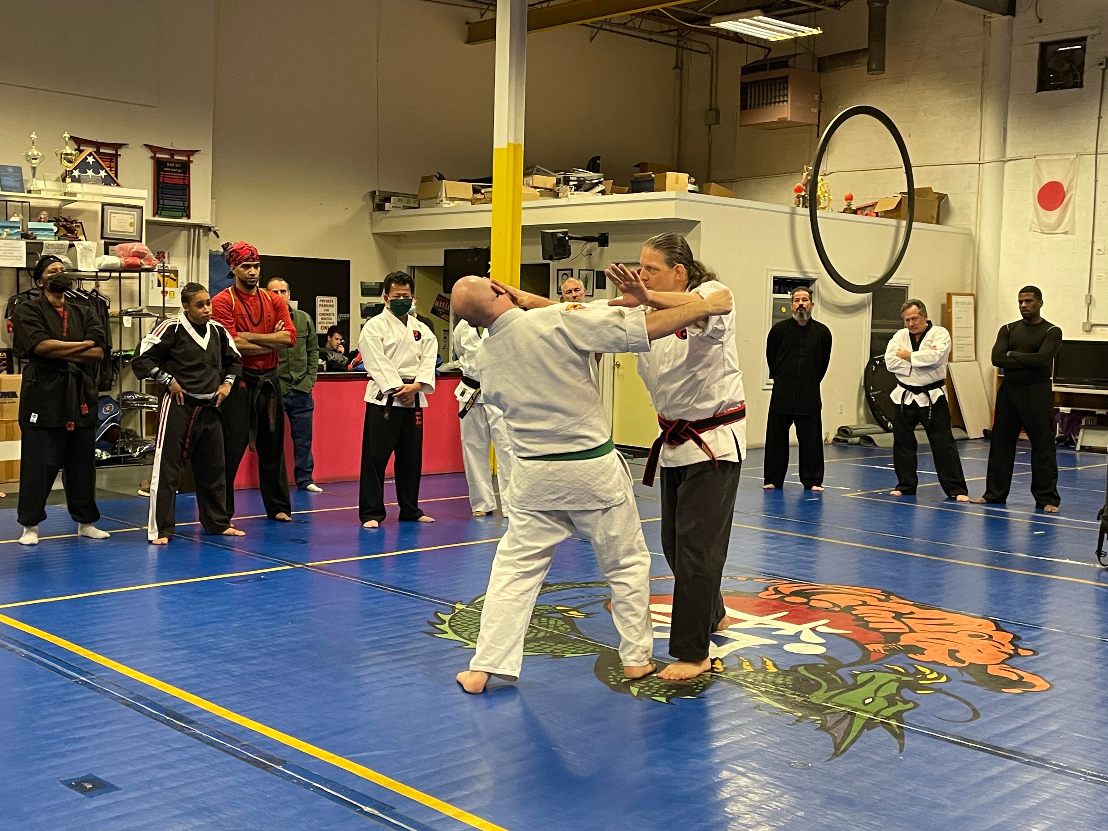 Martial arts team lineup